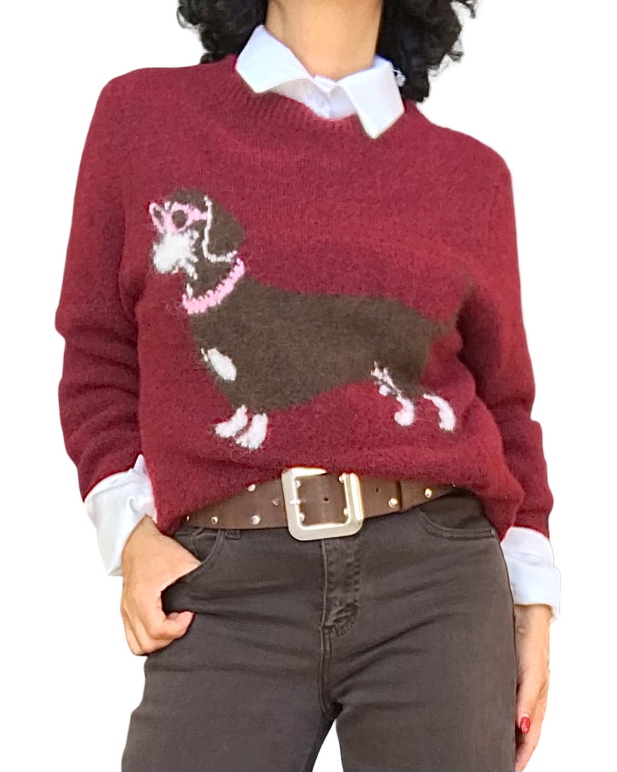 Chandail bourgogne en tricot laineux à chien saucisse brun porté sur une chemise blanche avec ceinture brune